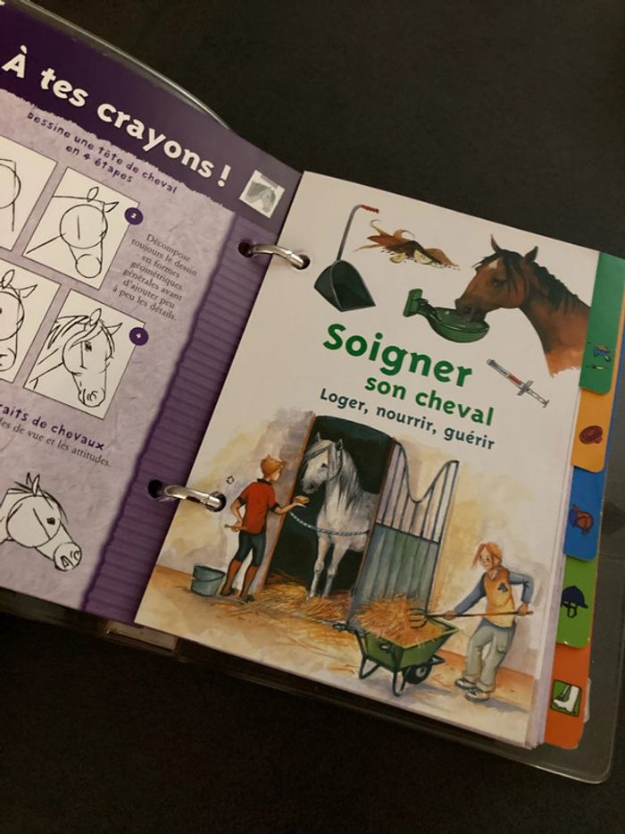 Livre carnet équitation cheval milan - photo numéro 3