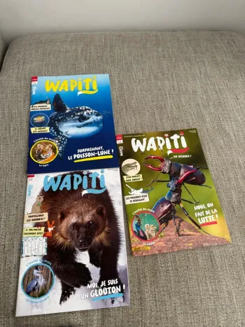 Lot 3 magasines wapiti
