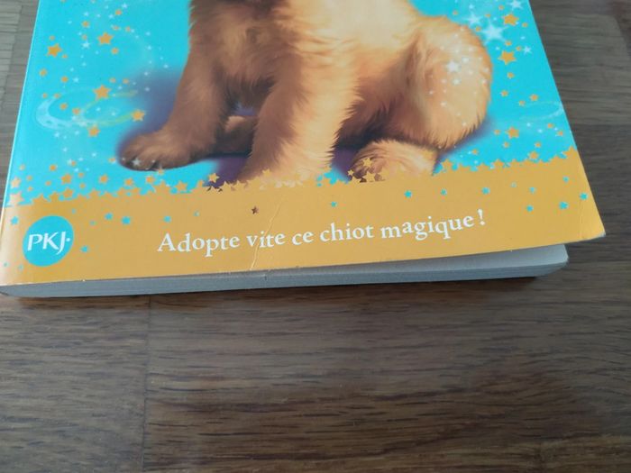 Les chiots magiques Au poney club volume 1 - photo numéro 7