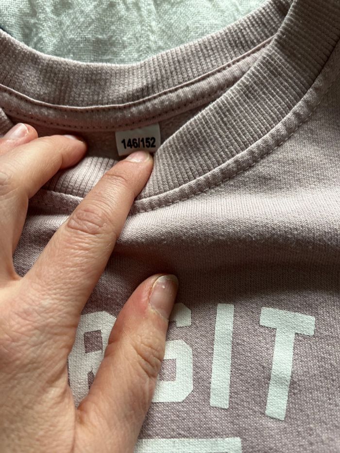 Lot de 2 sweat-shirt courts Zeeman 146/152 - photo numéro 6