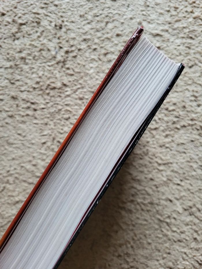 Roman Daddy de Loup Durand – Édition reliée avec jaquette - photo numéro 4