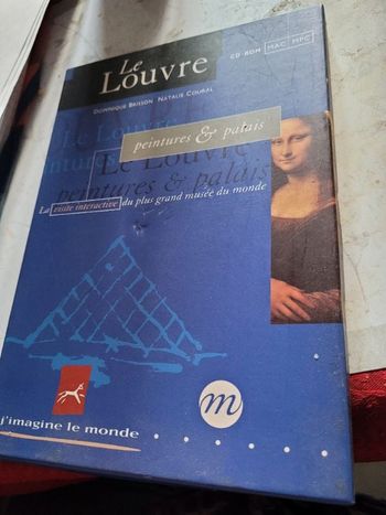 Le Louvre peintures et palais