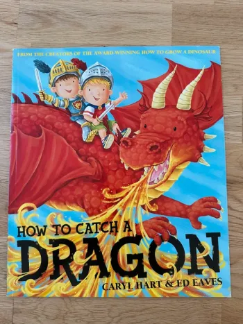 How to catch a dragon