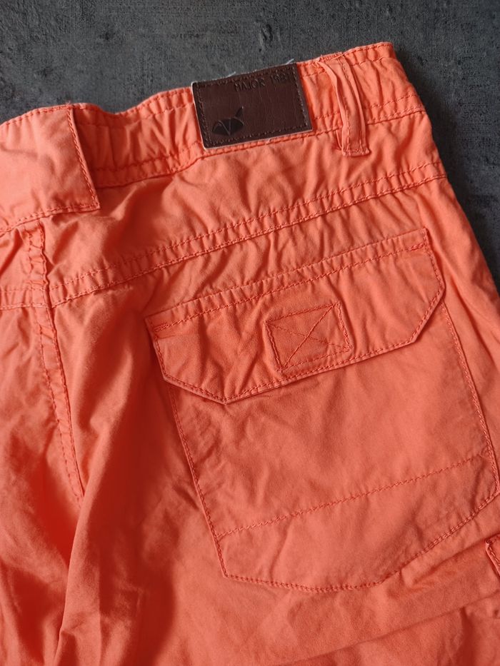 Bermuda sergent major - photo numéro 5