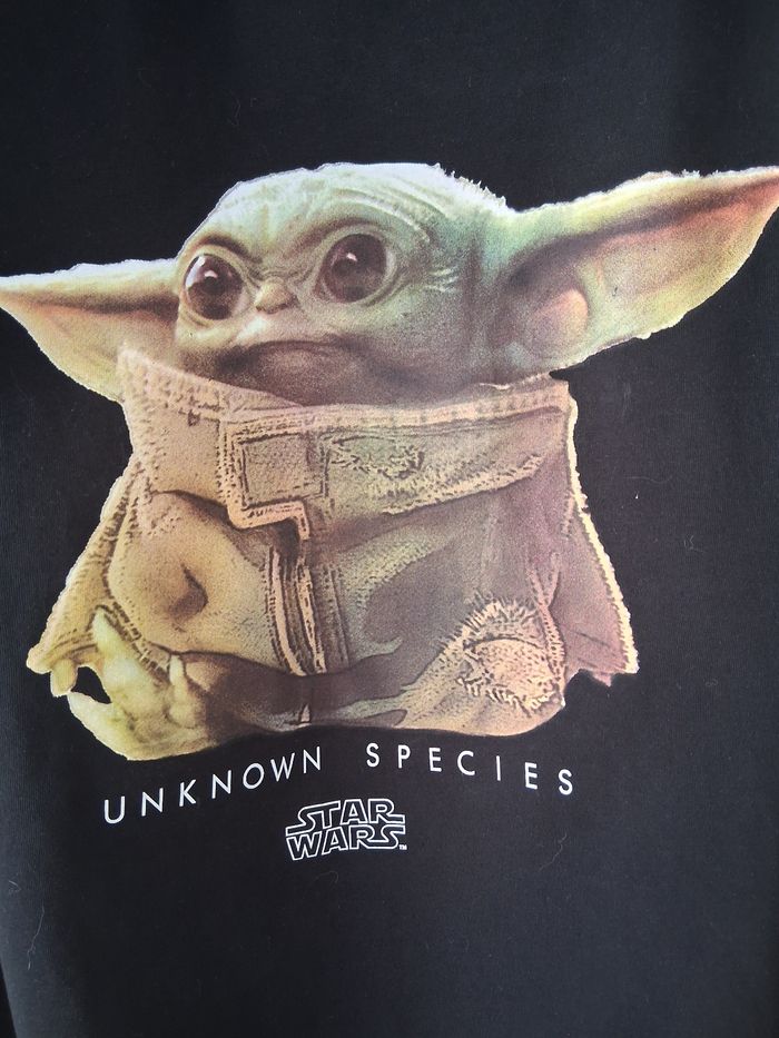 Tee-shirt - photo numéro 3