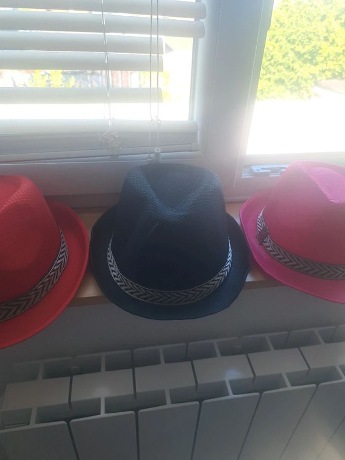 Chapeaux adulte - photo numéro 3