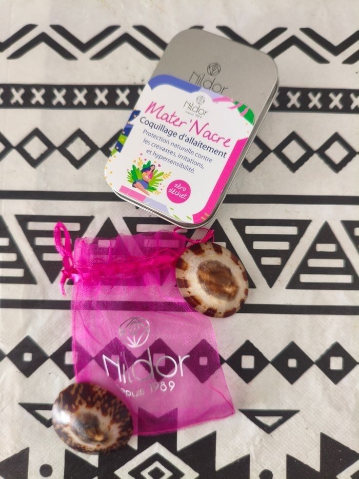 Coquillages allaitement
