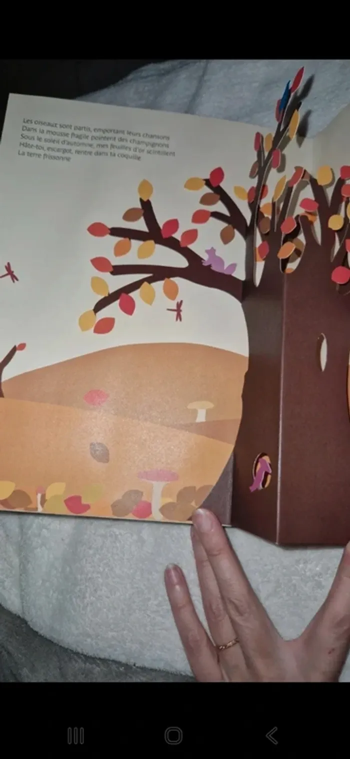 Livre jeunesse l'arbre au fil des saisons - photo numéro 3