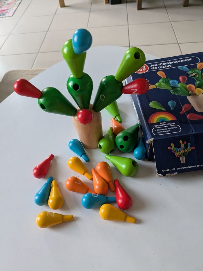 Jeu d'emboîtement de cactus - photo numéro 2