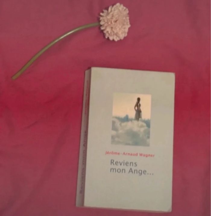 Reviens mon ange livre - photo numéro 2