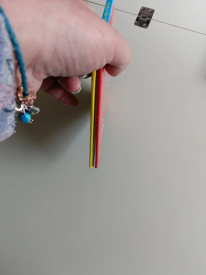 Livre Trotro et Zaza se dispute Gallimard Jeunesse - photo numéro 3