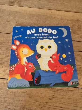 Livre “Au dodo bébé hibou n’a pas sommeil du tout” Nathan