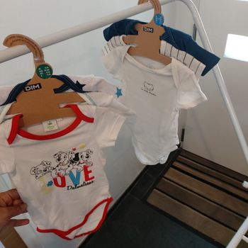 Lot de 6 bodies manches courtes