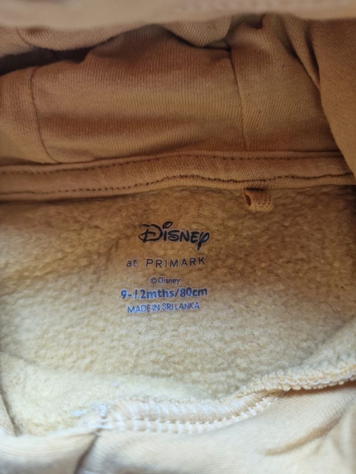 Ensemble le roi lion - photo numéro 9