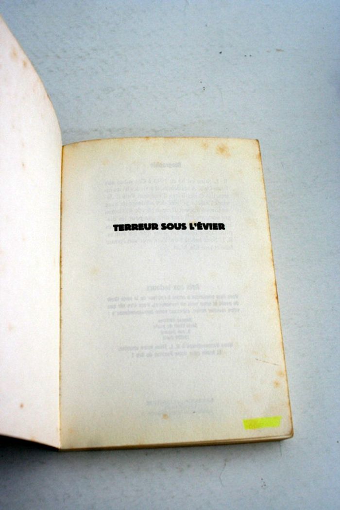 Chair de poule n°21 Terreur sous l'évier de R.L.Stine, Bayard - photo numéro 3