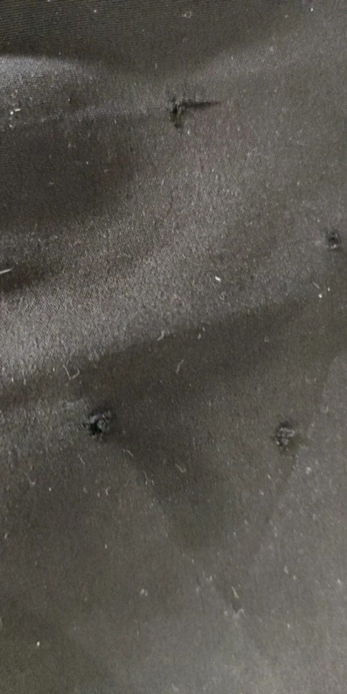 Puma Pantacourt 14 ans - photo numéro 2