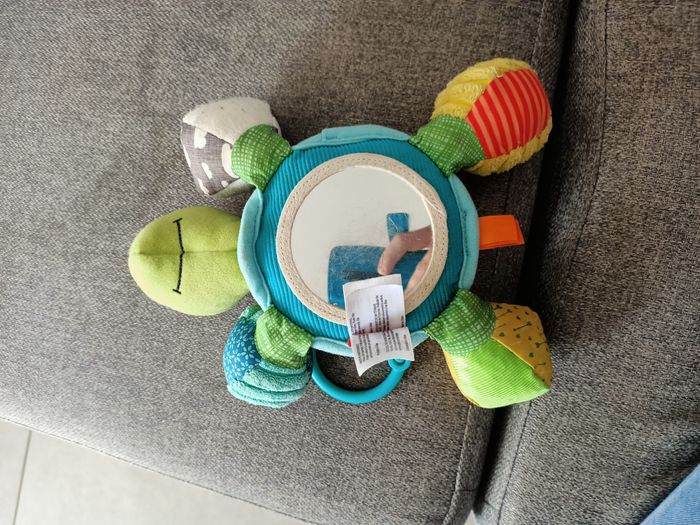 Tortue - photo numéro 2