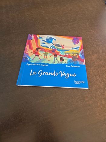 Livre Macdonald 2025  la grande vague