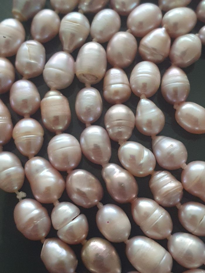 Magnifique collier sautoire de véritable perles de cultures multicouleurs en excellente état svp observerez toutes les photos avant de me demander les dimensions car j ajoute toujours la dimensions merci - photo numéro 9