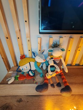 Collection les zig zag moulin roty 3 pieces