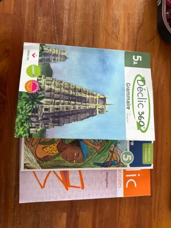 Lot de 3 cahiers d’activités 5eme