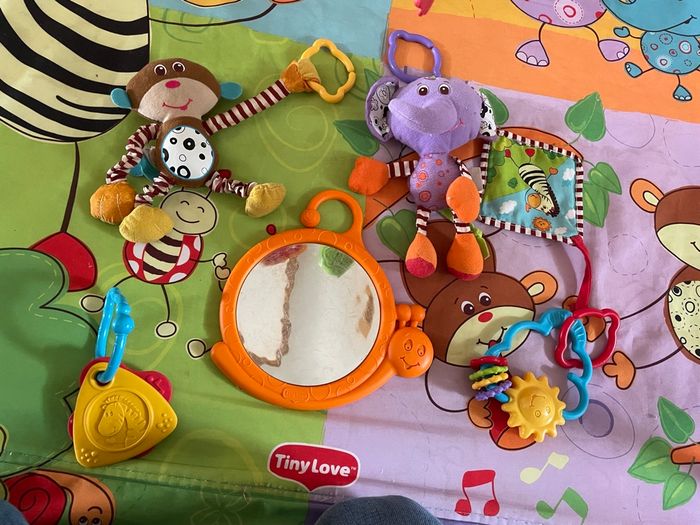 Tiny love tapis d’eveil - photo numéro 2