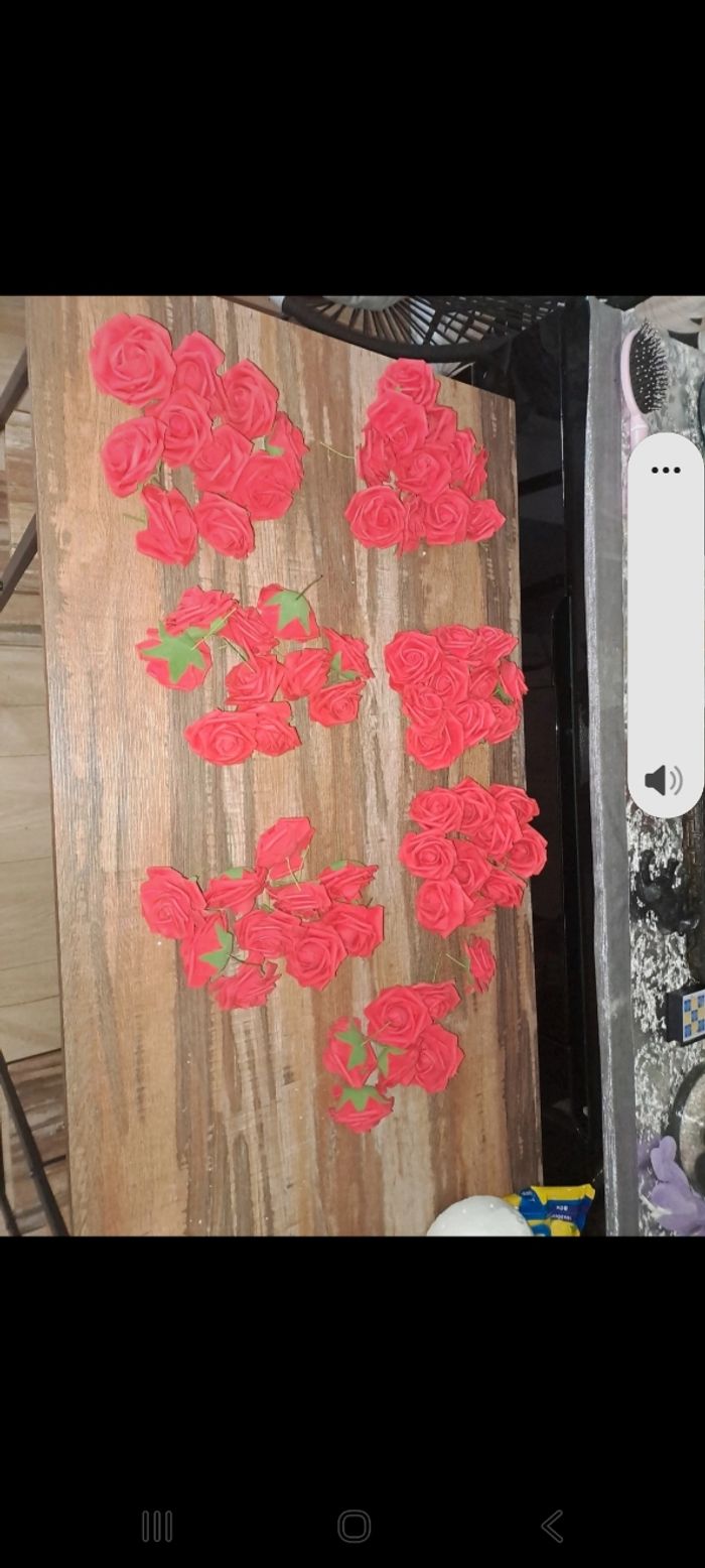 66 roses en mousse