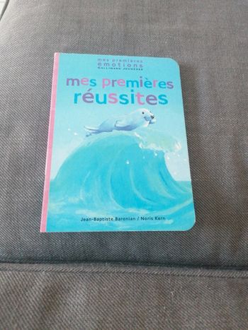 Livre les premières réussites