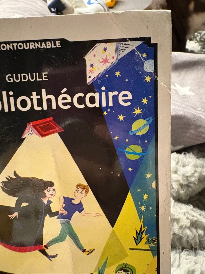 Livre la bibliothécaire - photo numéro 2