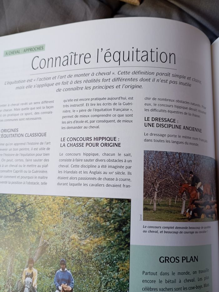 L'équitation les techniques de base - photo numéro 8