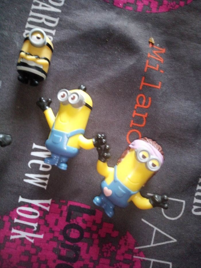 Minion - photo numéro 2