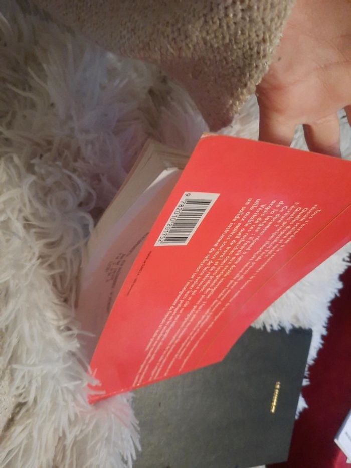 La maitrise de la langue à l'école - photo numéro 4