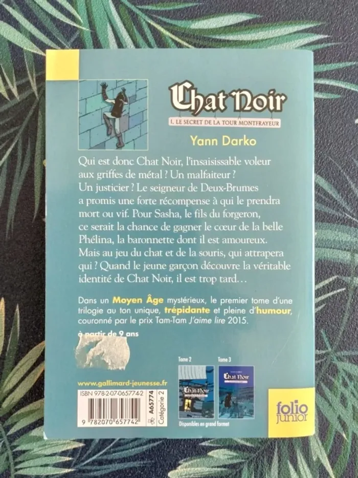 Livre enfant Char noir, Le secret de la Tour Montfrayeur - photo numéro 3