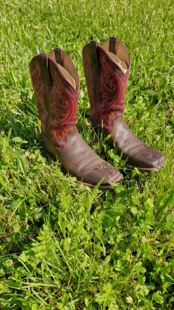 Bottes ariat 41 western femme