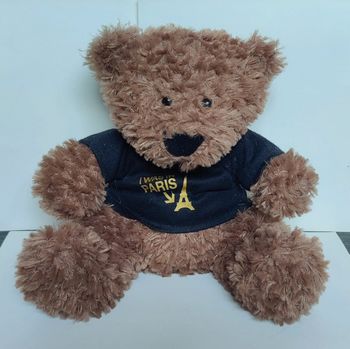 Peluche ours T-shirt "I was in Paris"
