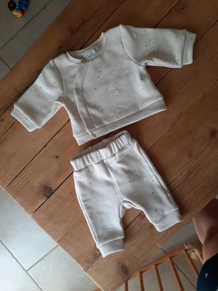Ensemble petites oies TAO