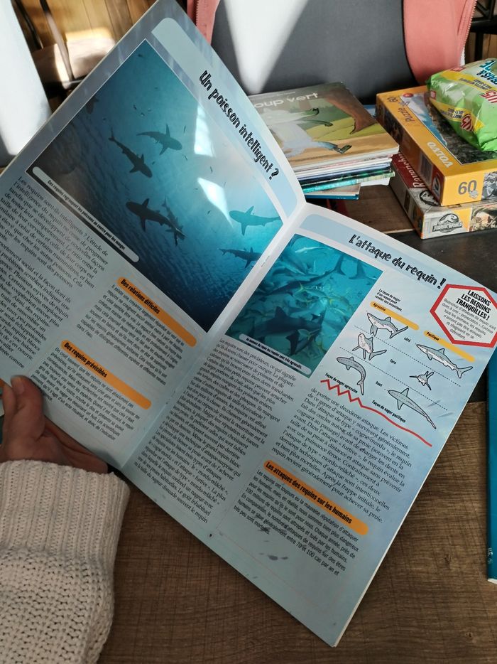 Lot livres doc requin - photo numéro 5