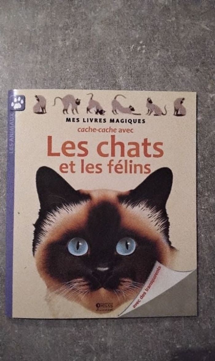 Livre magique neuf