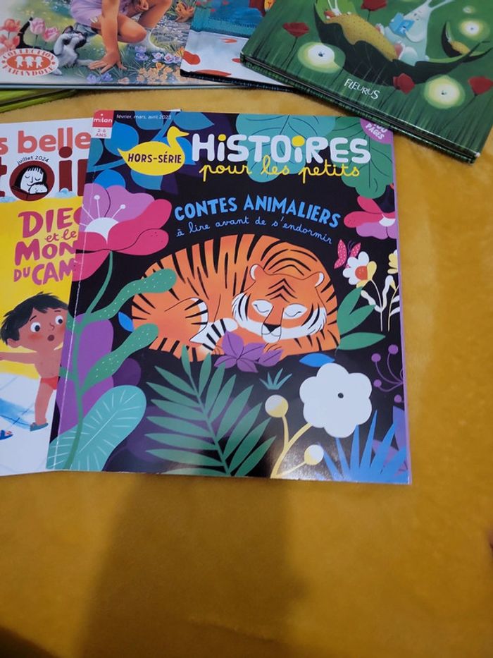 Lot de livre 2-6 ans - photo numéro 2