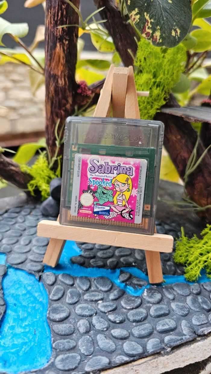 Super jeu Nintendo gameboy color sabrina