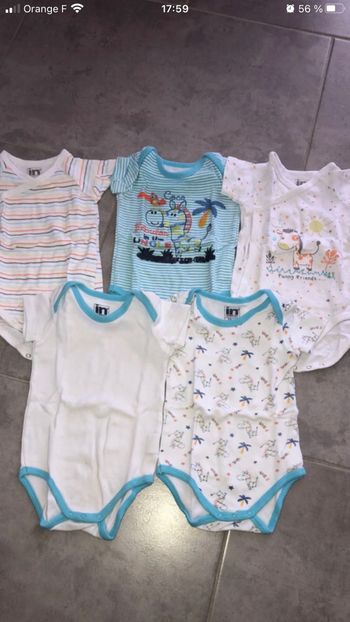 Lots 5 bodies