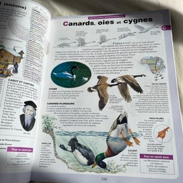 L’encyclopédie Hachette - photo numéro 4