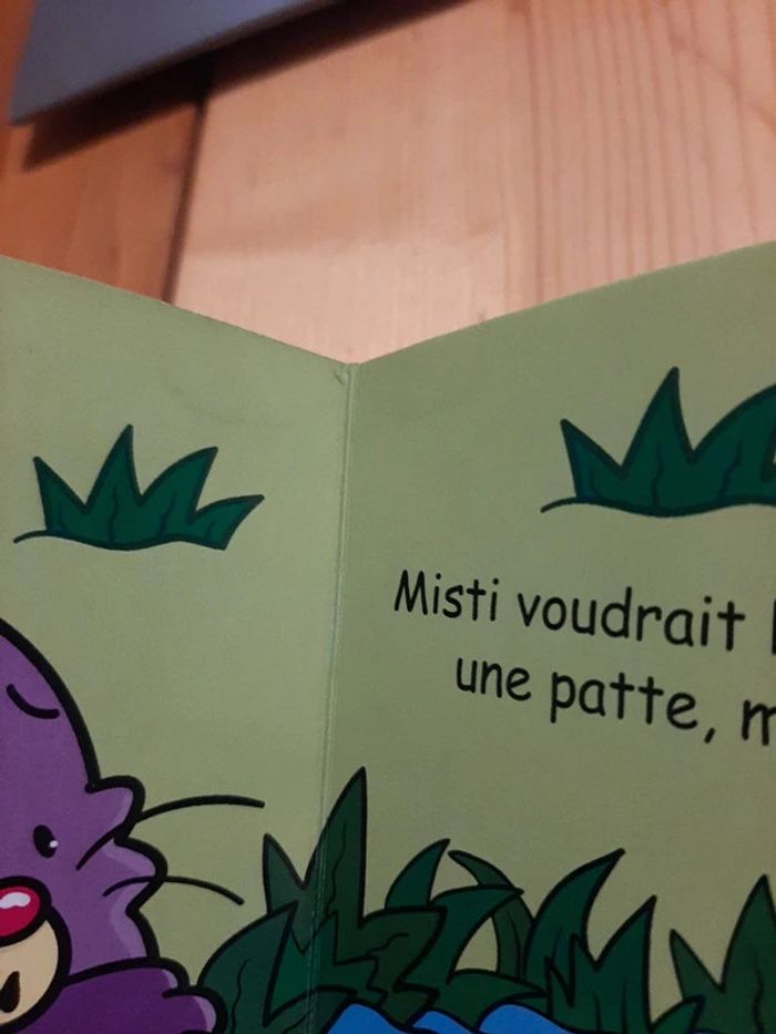 Livre bébé misti le chat offert - photo numéro 4
