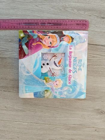 Livre la reine des neiges le royaume de glace