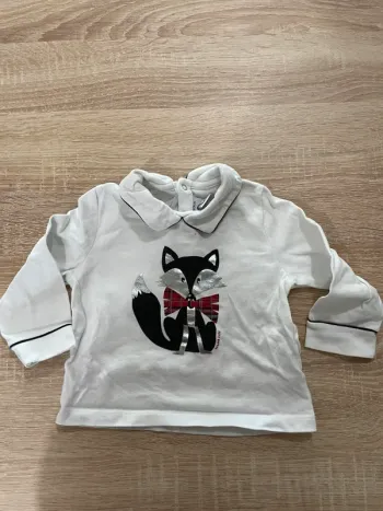 Polo renard