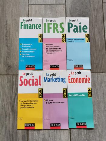 Le petit Social, Economie, Marketing, Paie, Finances, IFRS Dunod 2012