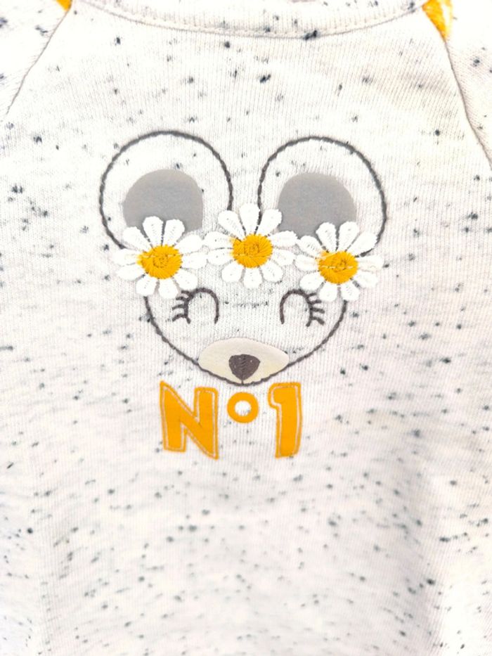 Orchestra 1 mois - photo numéro 3