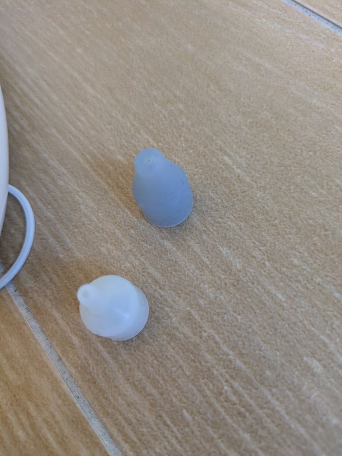 Mouche bebe - photo numéro 3