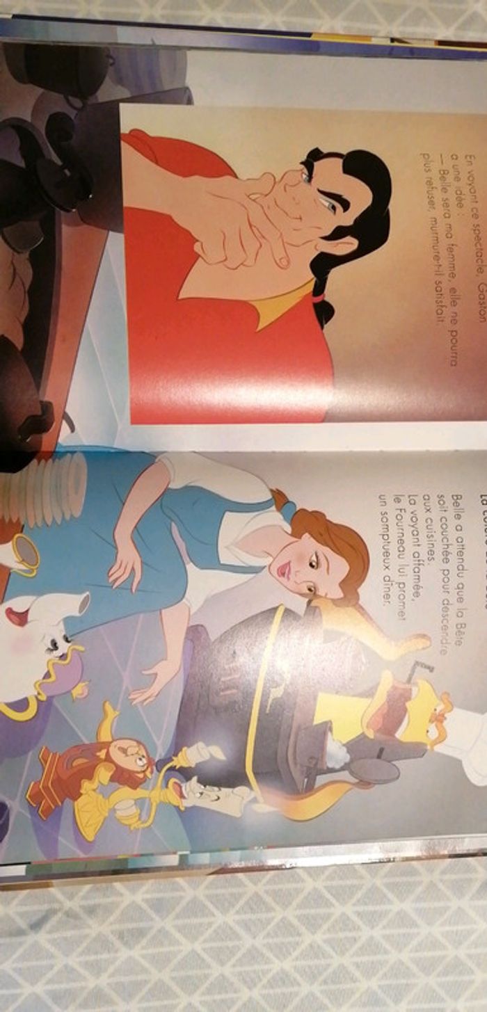 La belle et la bête - photo numéro 3