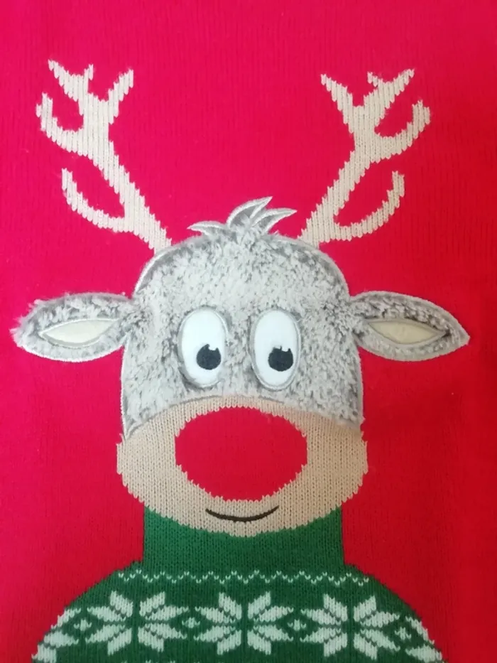 Pull de Noël - photo numéro 2